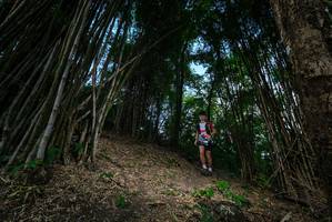 BIB: 
                            <button type="button" onclick="openModal(19395508)" class="btn btn-primary btn-sm float-right btn-popup" data-toggle="modal" data-target=".modal-high-quality">
                        <i class="fas fa-shopping-cart"></i> Add to Cart
                    </button>
                                            <button type="button" onclick="isThisMe(19395508, true)" class="btn btn-success btn-sm float-right btn-popup btn-isme hidden" data-toggle="tooltip" data-placement="bottom" title="นี่คือรูปของคุณใช่ไหม คลิกที่นี่เพื่อเอาเข้าอัลบั้ม">
                        <i class="fas fa-plus"></i> Add to album
                    </button>
                    <button type="button" onclick="isThisMe(19395508, false)" class="btn btn-warning btn-sm float-right btn-popup btn-isnotme hidden">
                        <i class="fas fa-ban"></i> Remove from album
                    </button>